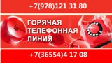Горячая линия телефона